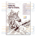 Coleção Manual Papaterra Completo (14 volumes) 